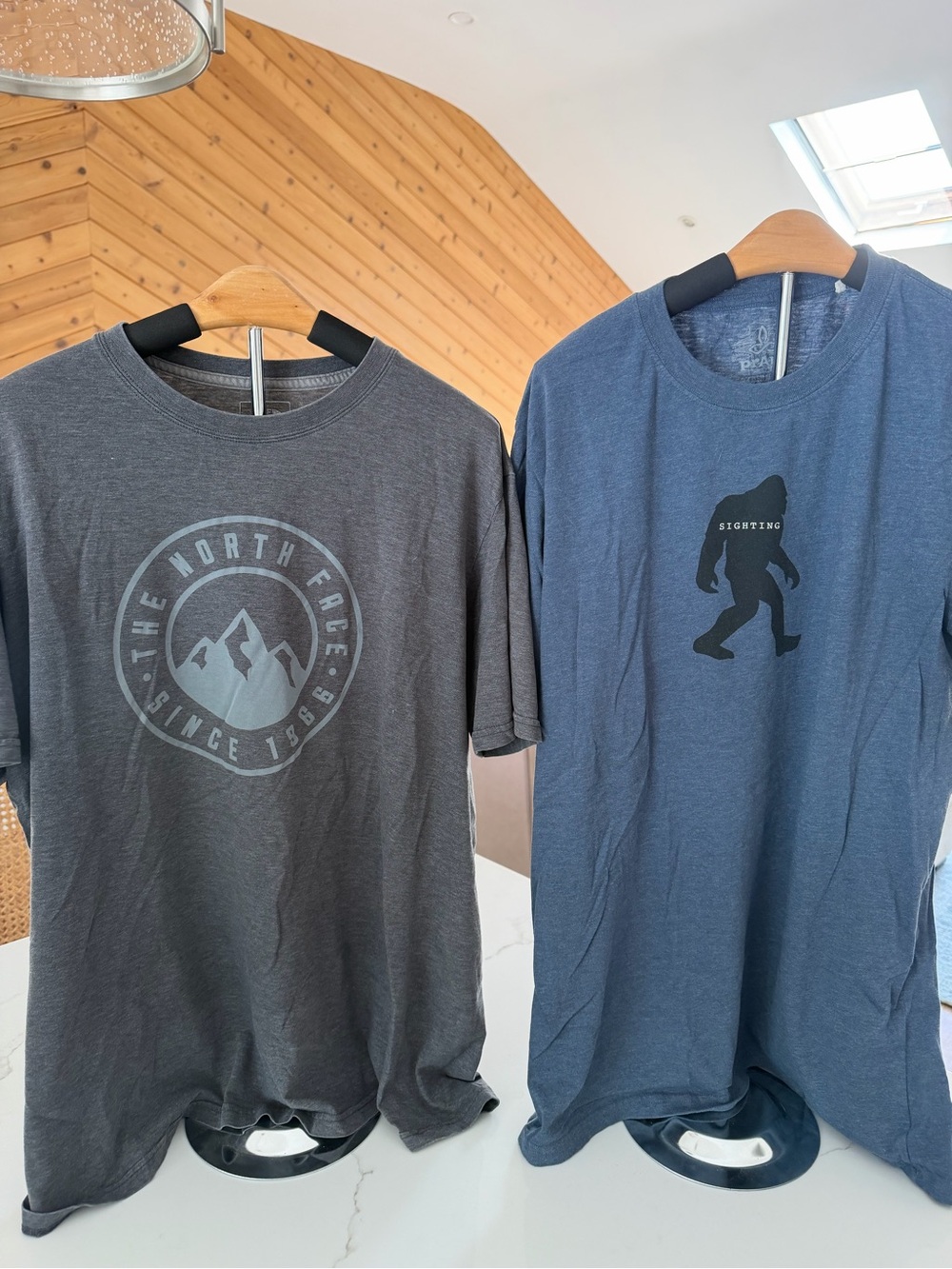 The North Face Men's Short Sleeve Tees - Charcoal & Slate Blue